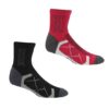 גרבי טיולים Regatta Ladies Active 2pk Sock Blk/CheryPnk