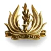 סיכת כומתה חיל הים