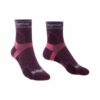 גרבי ריצת שטח Bridgedale Ultra Lite T2 Merino 3/4 Damson נשים