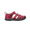 סנדל Keen CNX Seacamp אדום ילדים
