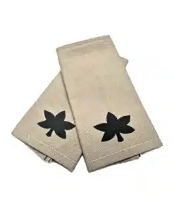 דרגות ב רב סרן שדה